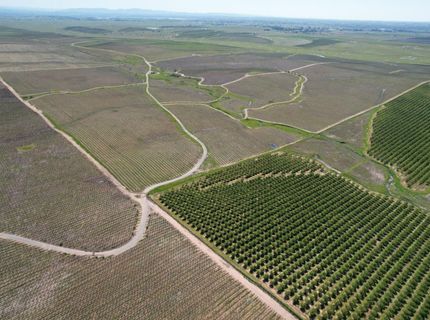 17559 E Liberty Rd, Clements, CA 95227 Photo
