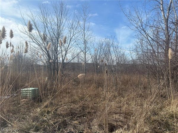 Charles Drive, Lorain, OH 44053