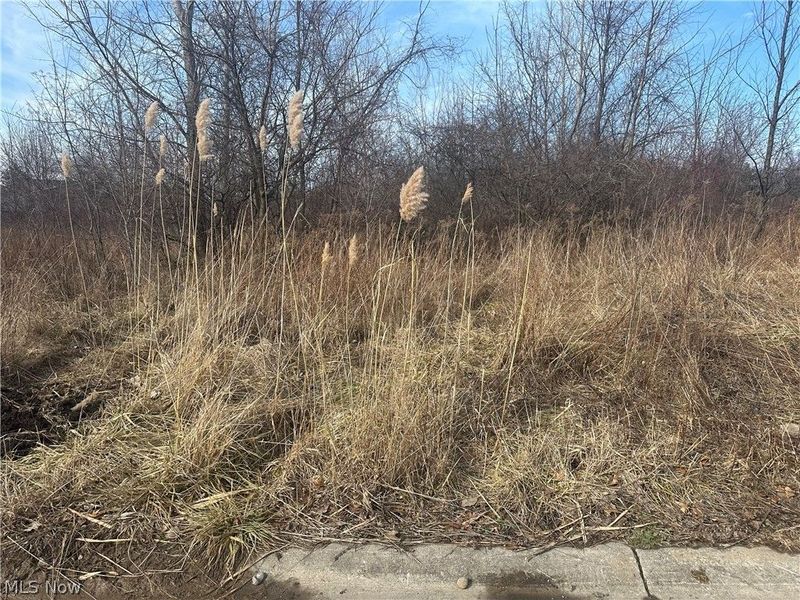 Charles Drive, Lorain, OH 44053 Photo 2