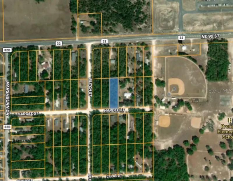 Tbd Hardee Street, Bronson, FL 32621 Main Photo