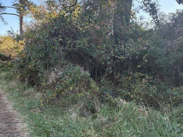 196 Styron Creek Road, Sea Level, NC 28577