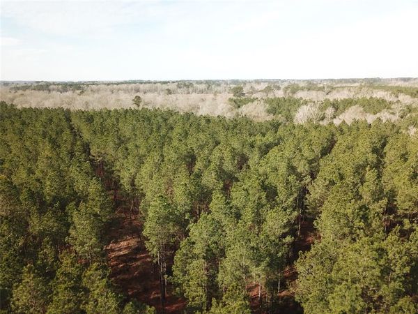 00 off Countree Road , Zwolle, LA 71486