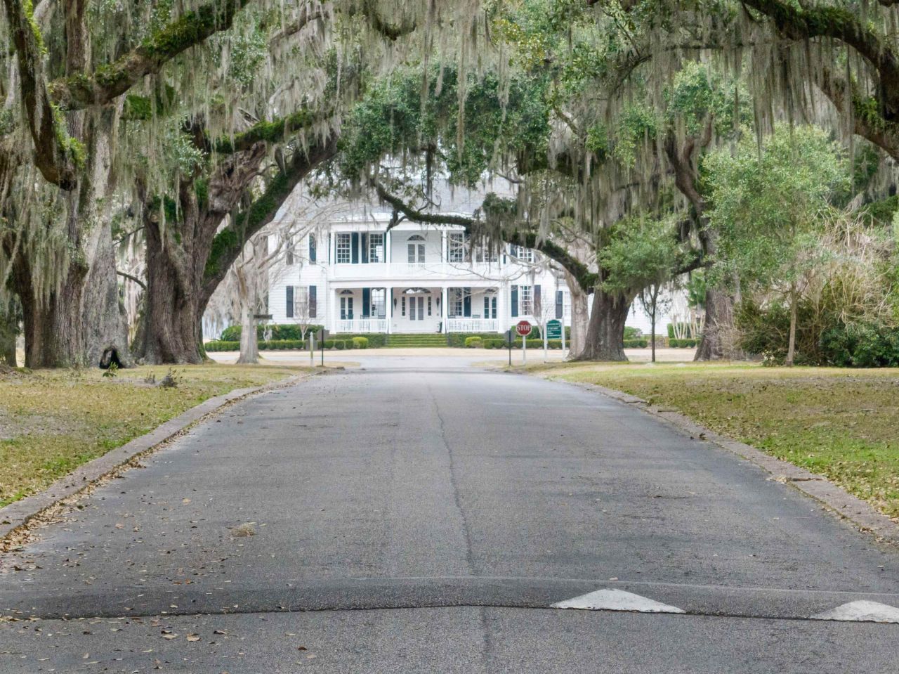 62 Makepeace Pl.  Photo 33