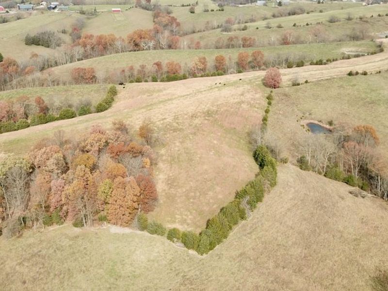 00 Gratz Road, Owenton, KY 40359 Photo 27