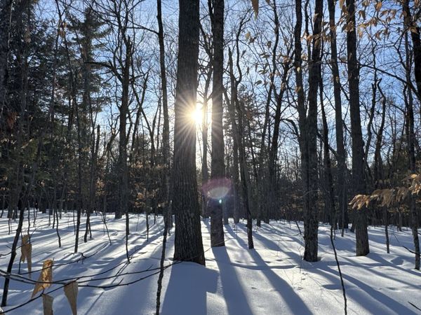 M10L44 Mountain View Road , Fryeburg, ME 04037