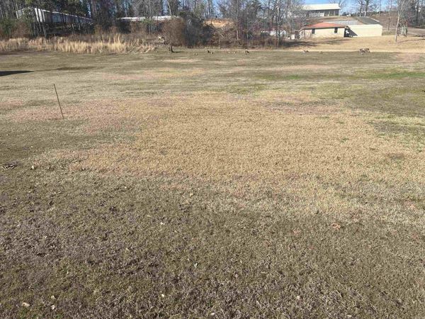 4965 hwy 70 w, Daisy, AR 71959