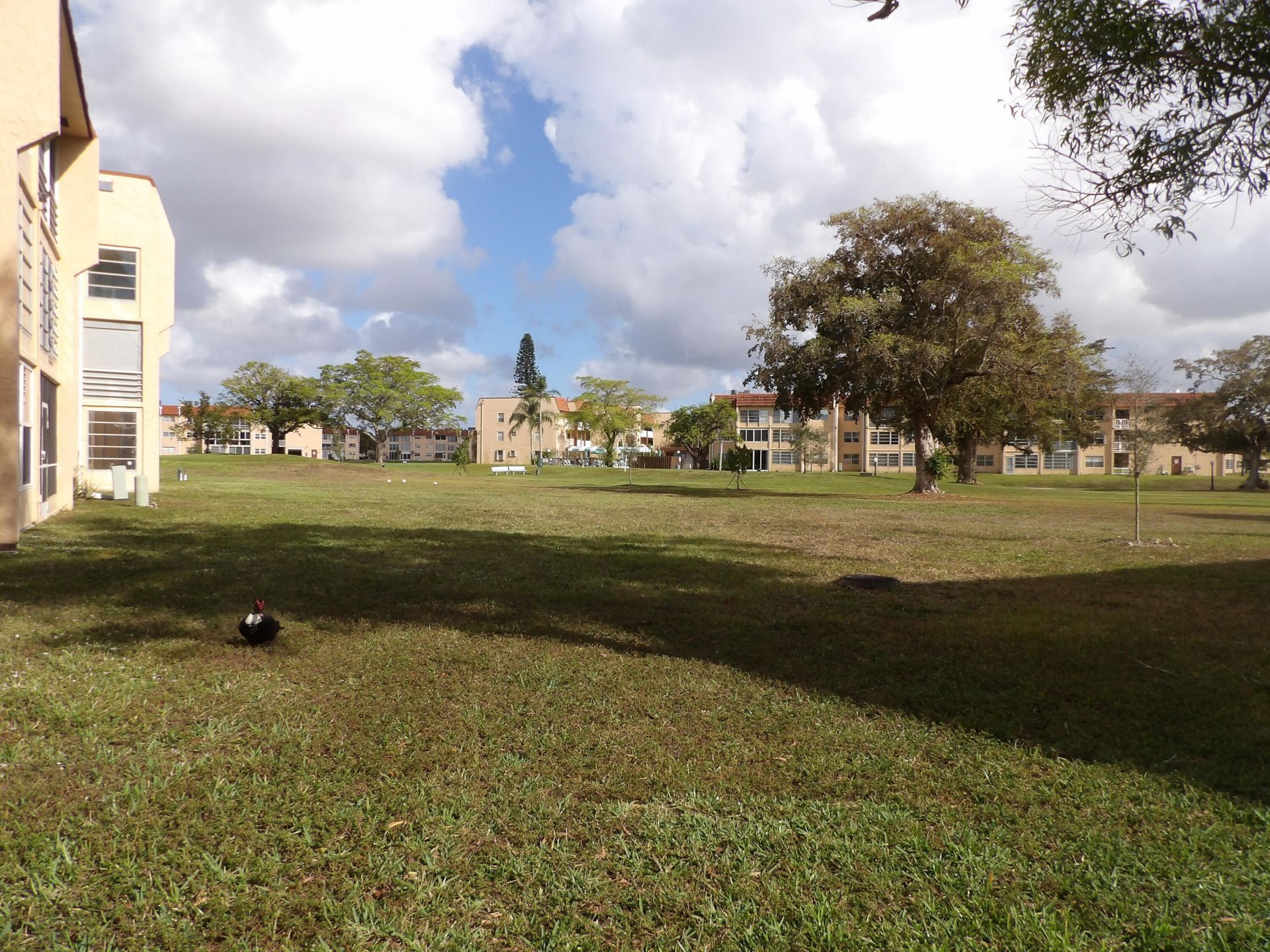 9310 Sunrise Lakes Boulevard, Unit 108, Sunrise, FL 33322 Photo