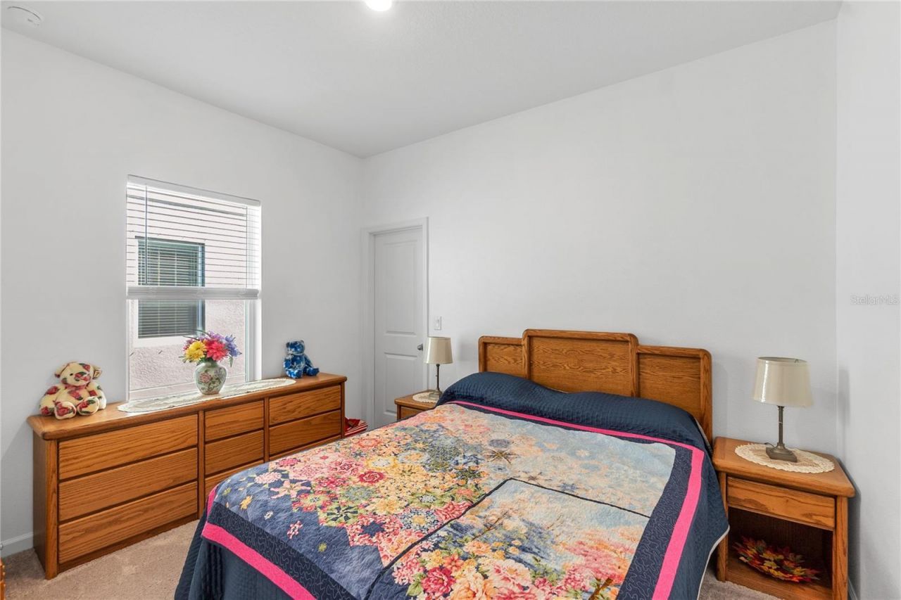 10427 Ladybug Cove, Parrish, FL 34219 Photo