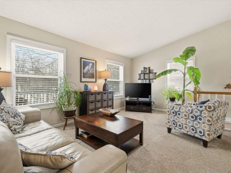 50 Orchard Hills Court, Howard, OH 43028 Photo 3