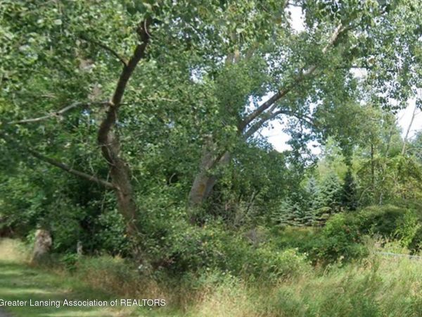 0 Eifert Road, Holt, MI 48842