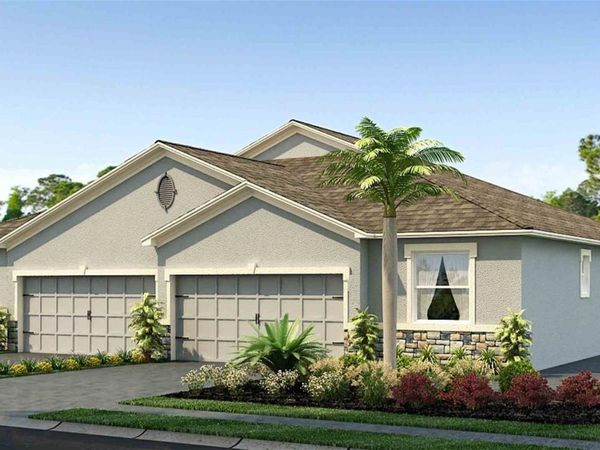 31337 PAPER BIRCH STREET, WESLEY CHAPEL, FL 33545