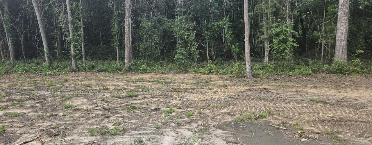 117 Martin Drive Photo 7