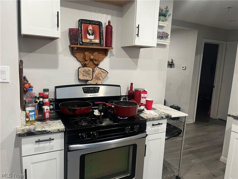 15711 Lotus Drive, Cleveland, OH 44128 Photo 5