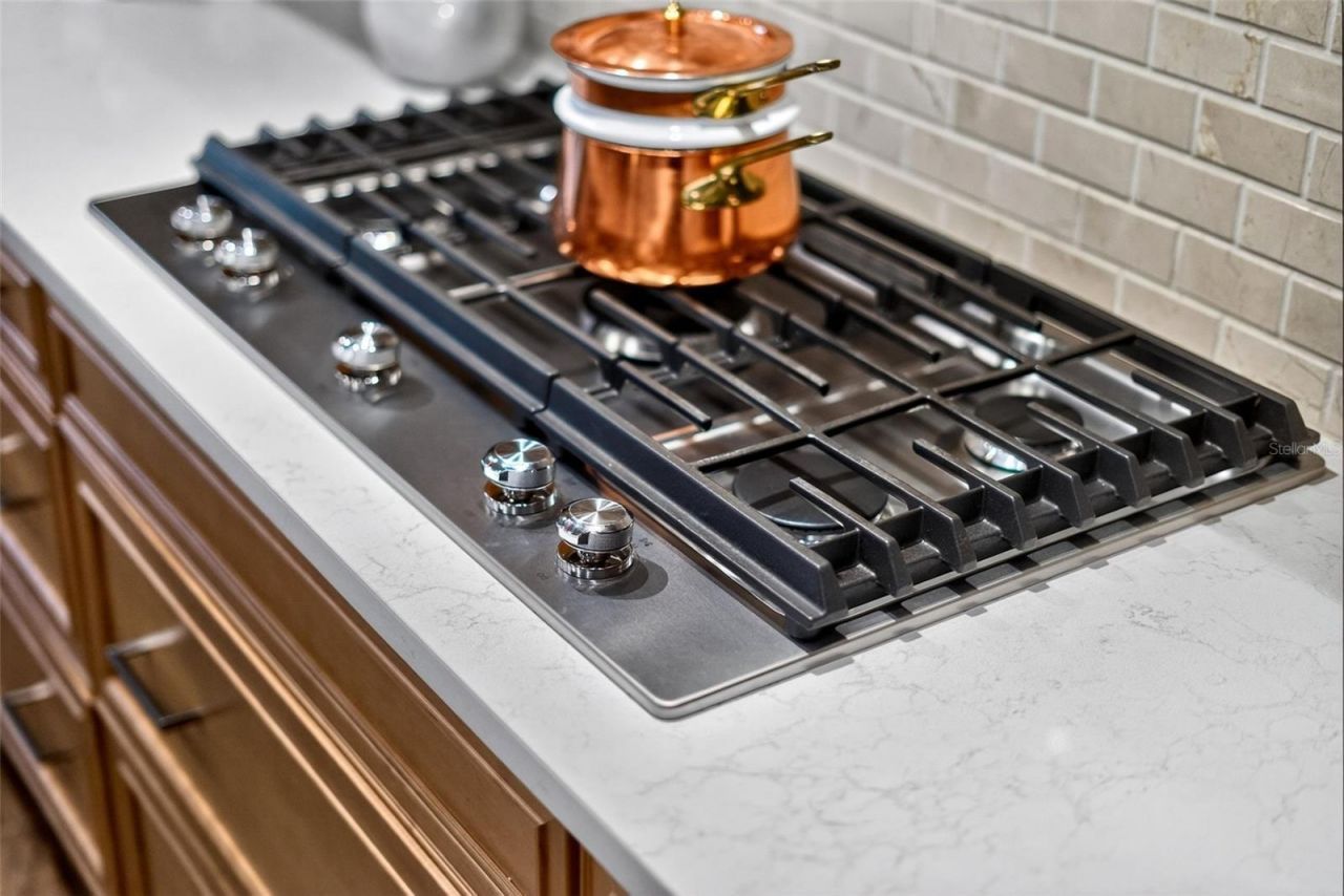 8134 Redonda Loop, Lakewood Ranch, FL 34202 Photo