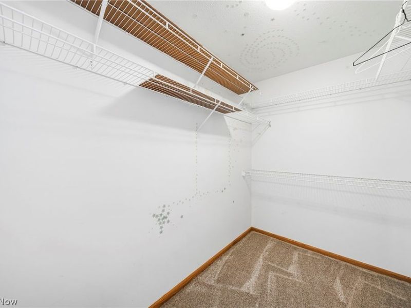 67 Red Pine Drive, Painesville, OH 44077 Photo 20