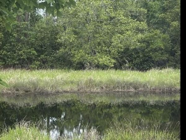 217 HANSELMAN Avenue, Crescent City, FL 32112