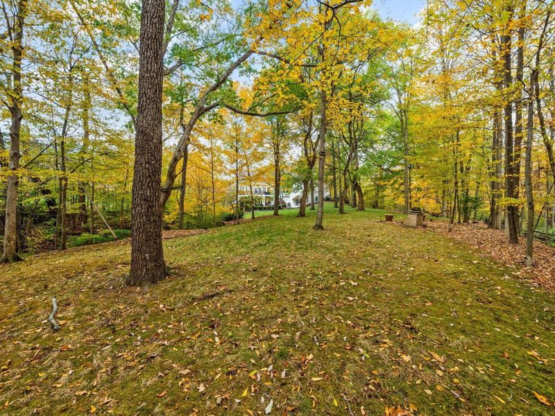 6573 Spinnaker Drive, Lewis Center, OH 43035 Photo 87