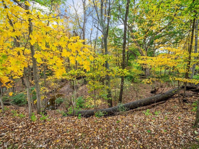 6573 Spinnaker Drive, Lewis Center, OH 43035 Photo 88