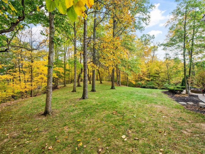 6573 Spinnaker Drive, Lewis Center, OH 43035 Photo 90