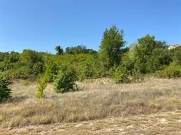 Lot 168 Canyon Wren N, Graford, TX 76449