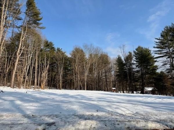 Lot 48.3 & 48.2 High Road , Glen Spey, NY 12737