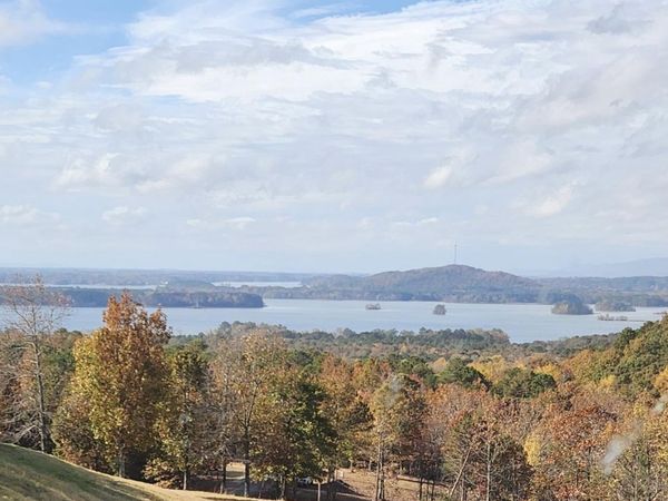 Lot#24 County Road 767, Unit #24, Cedar Bluff, AL 35959