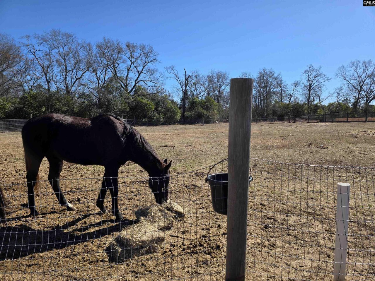 1080 Fox Young Road Photo 41