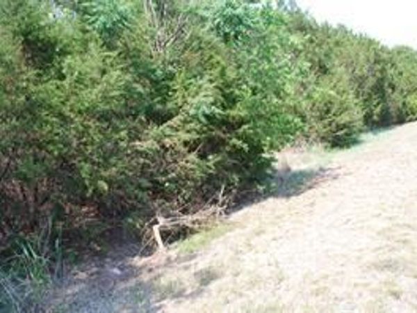 5017 Horseshoe Drive , Whitney, TX 76692