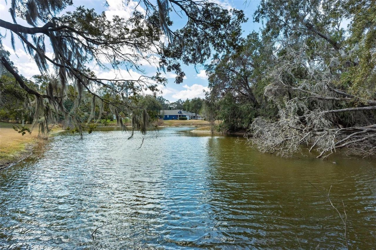 9175 Silver Lake Drive, Leesburg, FL 34788 Photo