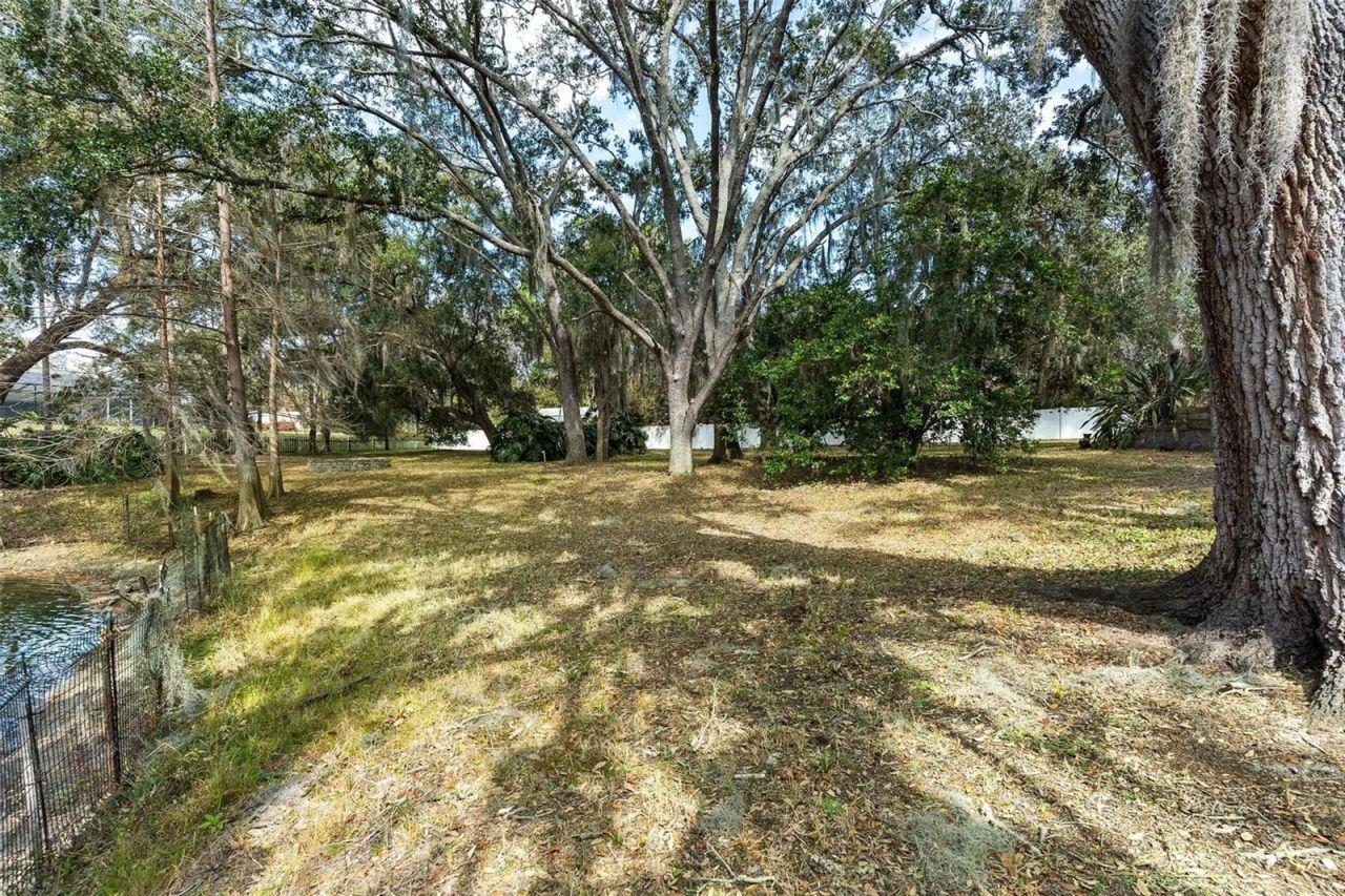 9175 Silver Lake Drive, Leesburg, FL 34788 Photo