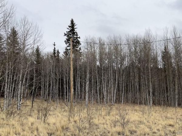 688 Ouray Trail , Como, CO 80432