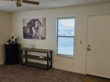 1465 E Peckham Lane, Unit 55, Reno, NV 89502 Photo