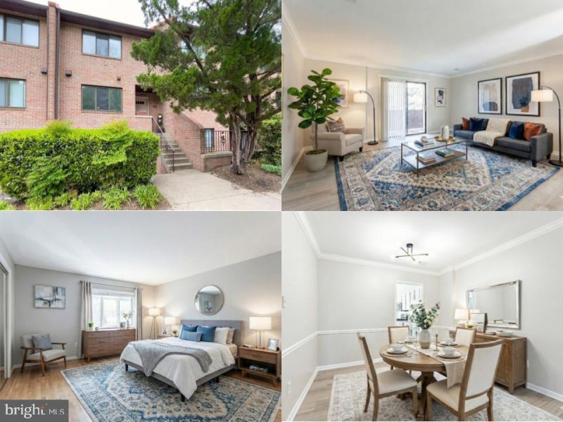 3708-a Steppes Court, Falls Church, VA 22041 Main Photo