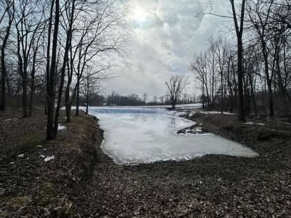 5018 S Rumsey Road, Pittsford, MI 49271