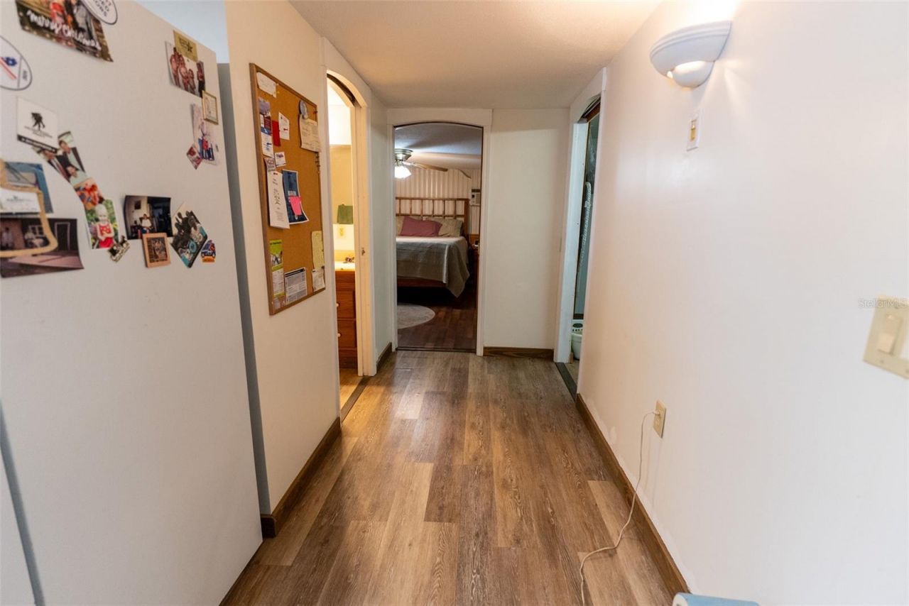 25020 NE 132nd Street, Salt Springs, FL 32134 Photo