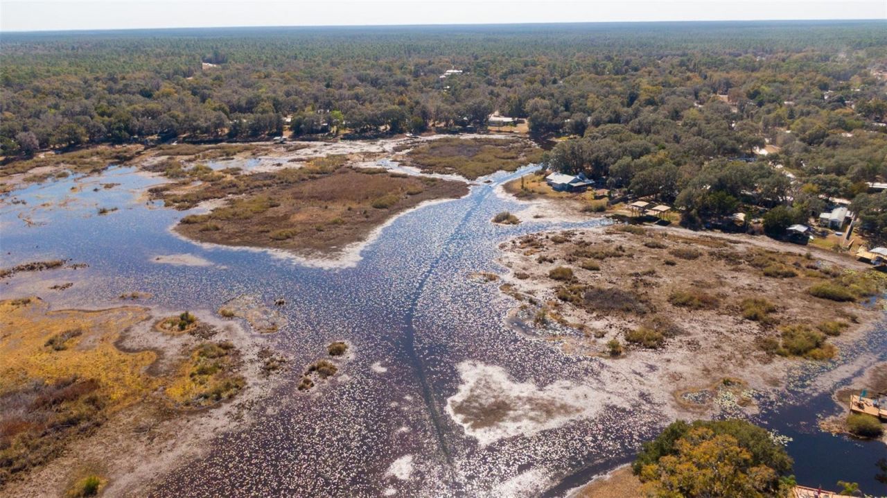 25020 NE 132nd Street, Salt Springs, FL 32134 Photo