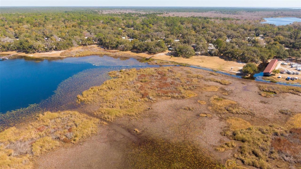 25020 NE 132nd Street, Salt Springs, FL 32134 Photo