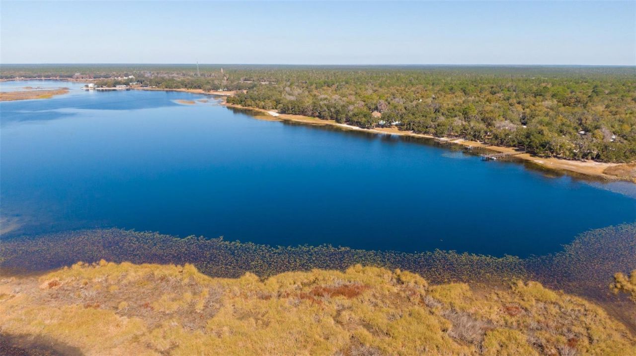 25020 NE 132nd Street, Salt Springs, FL 32134 Photo