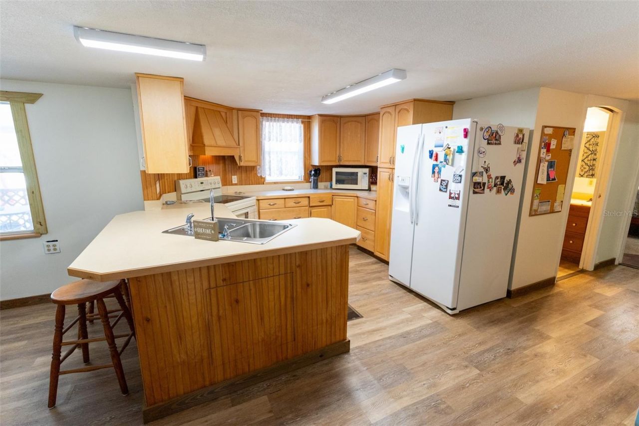 25020 NE 132nd Street, Salt Springs, FL 32134 Photo