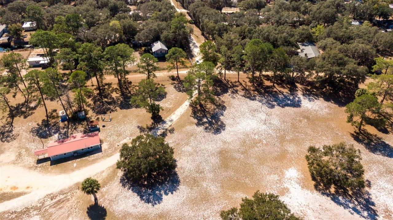 25020 NE 132nd Street, Salt Springs, FL 32134 Photo