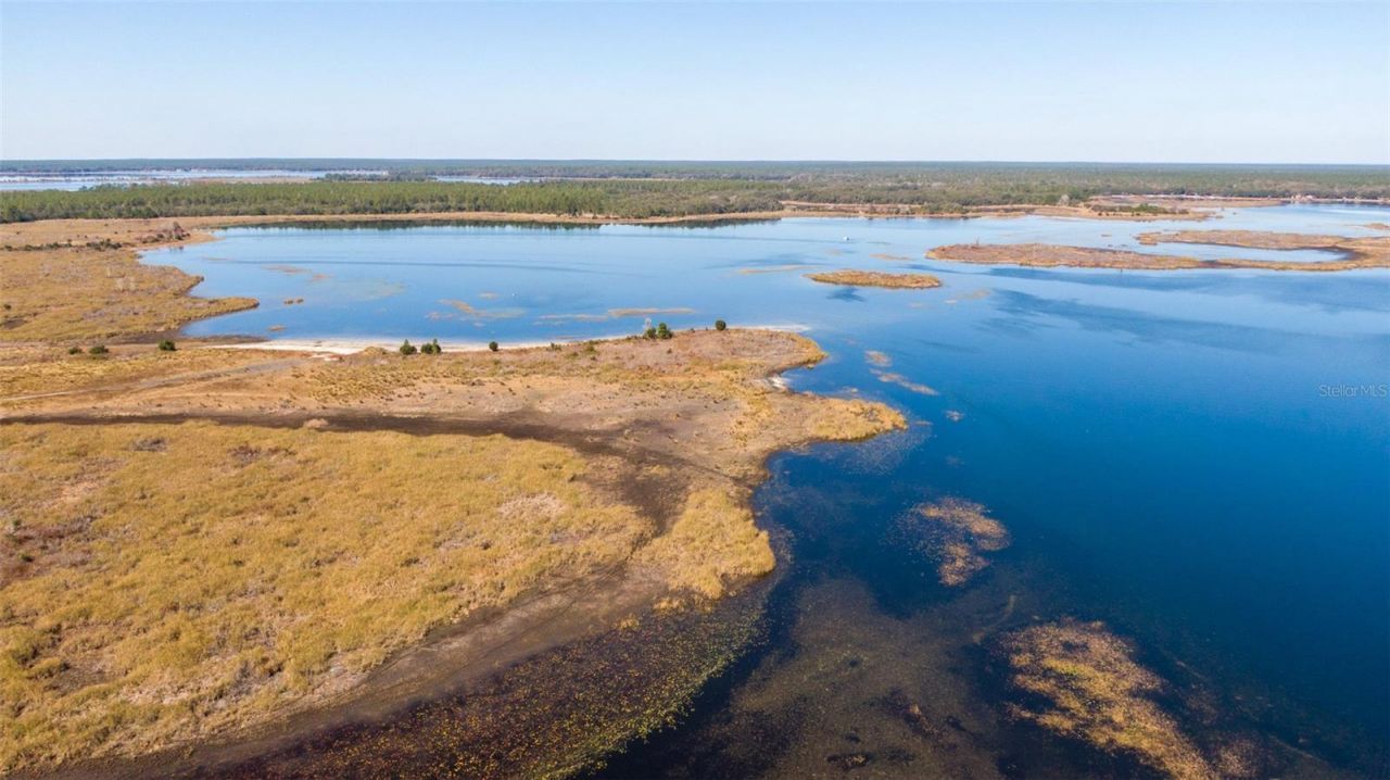 25020 NE 132nd Street, Salt Springs, FL 32134 Photo