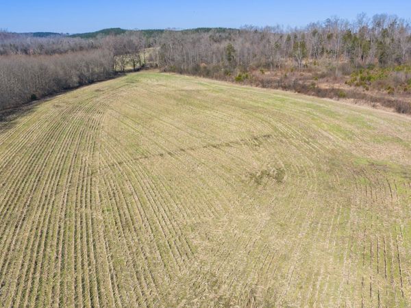 0 Mt Carmel Road , Decaturville, TN 38329