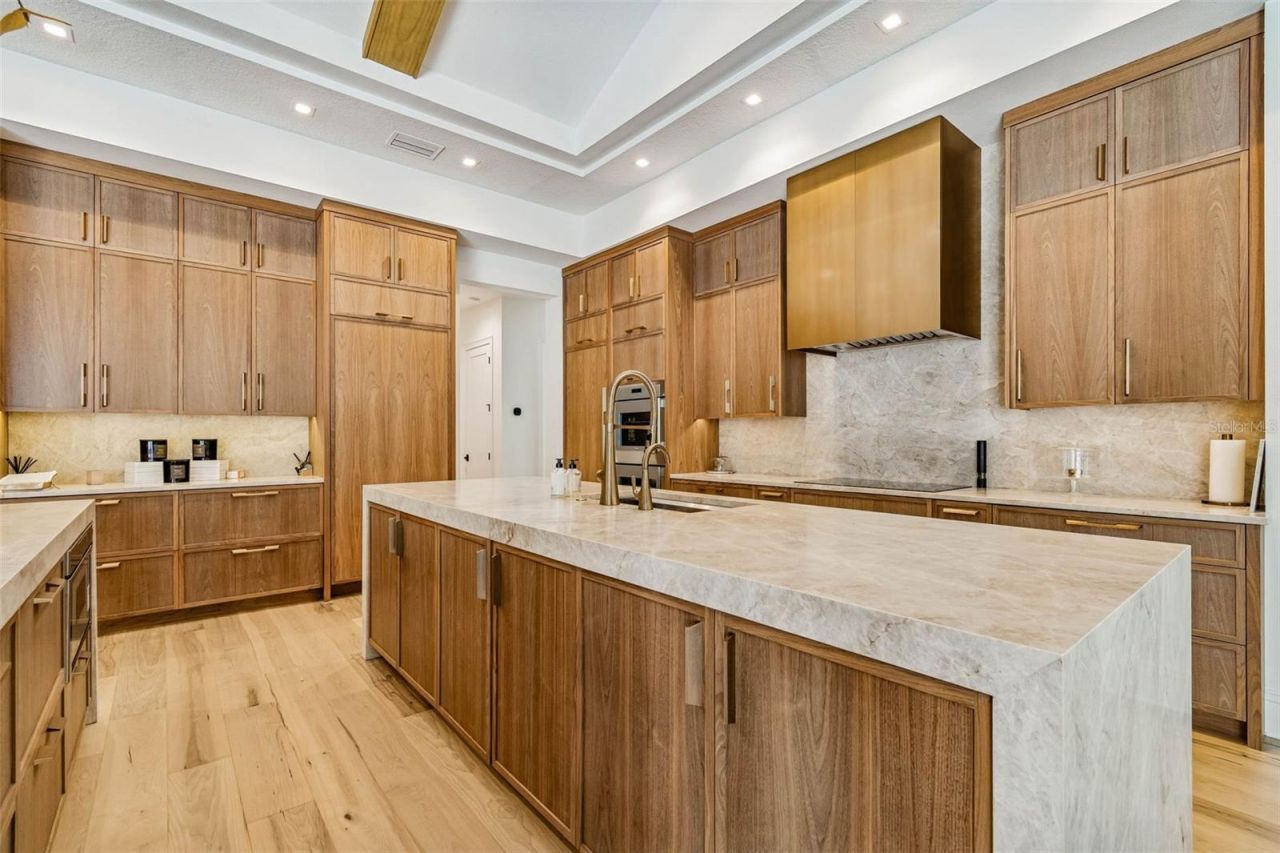 17720 Royal Eagle Lane, Lutz, FL 33549 Photo