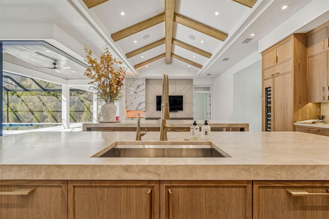 17720 Royal Eagle Lane, Lutz, FL 33549 Photo