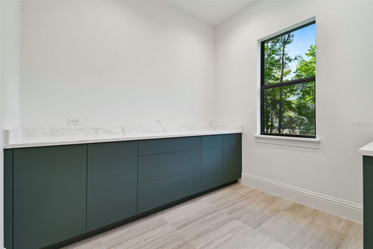 17720 Royal Eagle Lane, Lutz, FL 33549 Photo