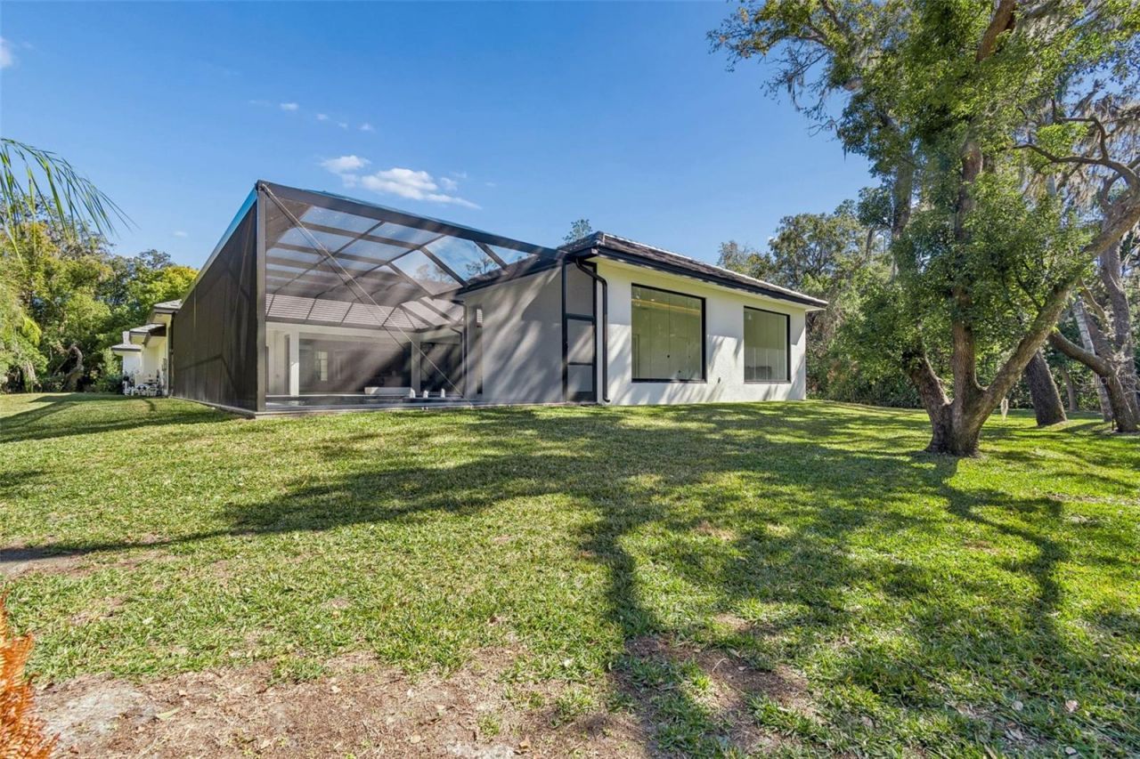 17720 Royal Eagle Lane, Lutz, FL 33549 Photo