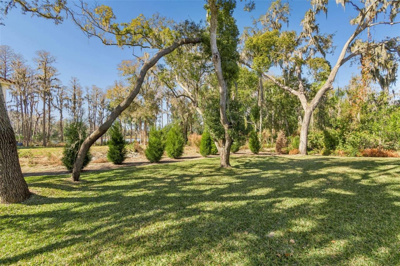 17720 Royal Eagle Lane, Lutz, FL 33549 Photo