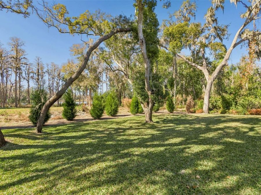 Property Image 83