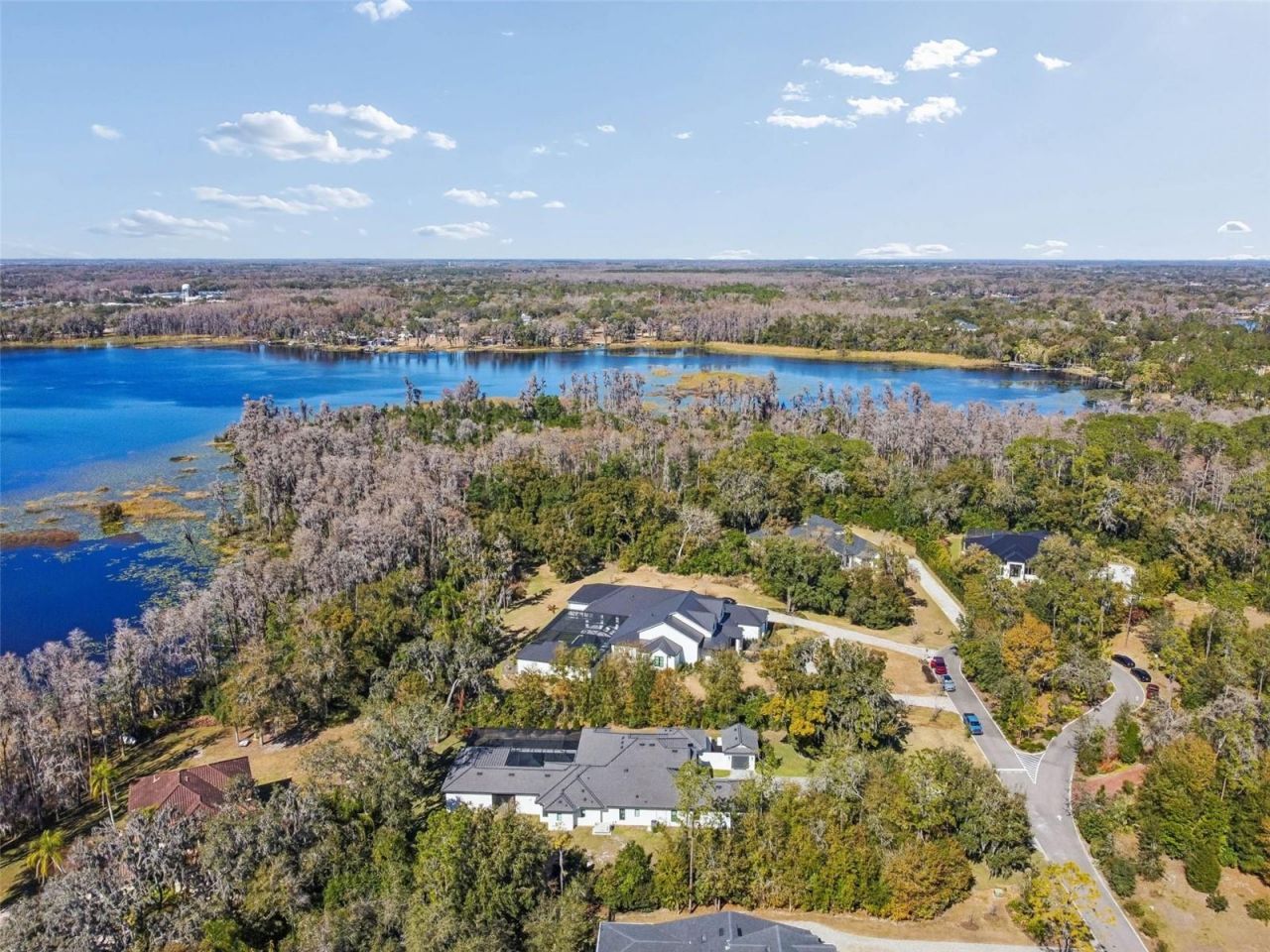 17720 Royal Eagle Lane, Lutz, FL 33549 Photo