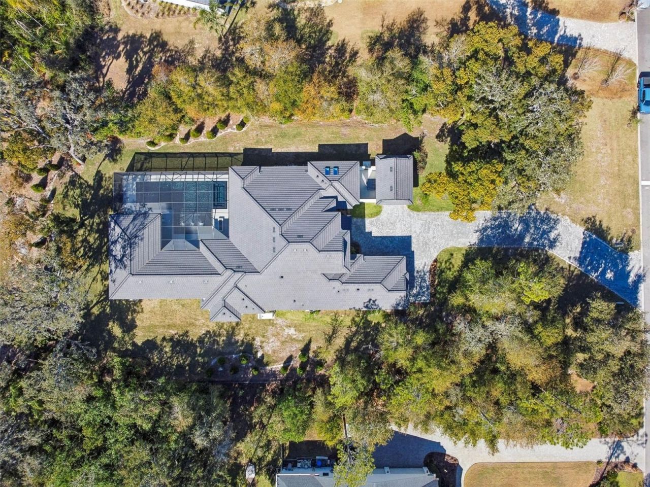 17720 Royal Eagle Lane, Lutz, FL 33549 Photo